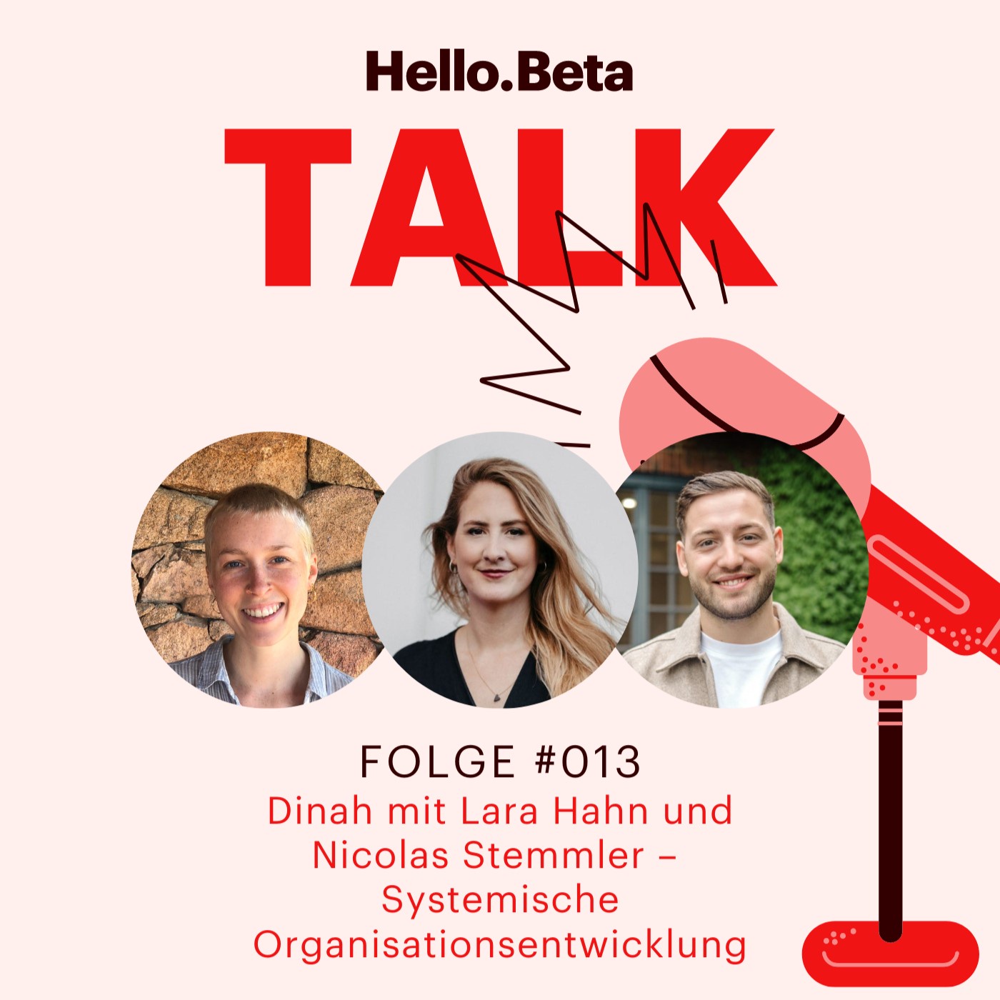 #013 - Systemische Organisationsentwicklung
