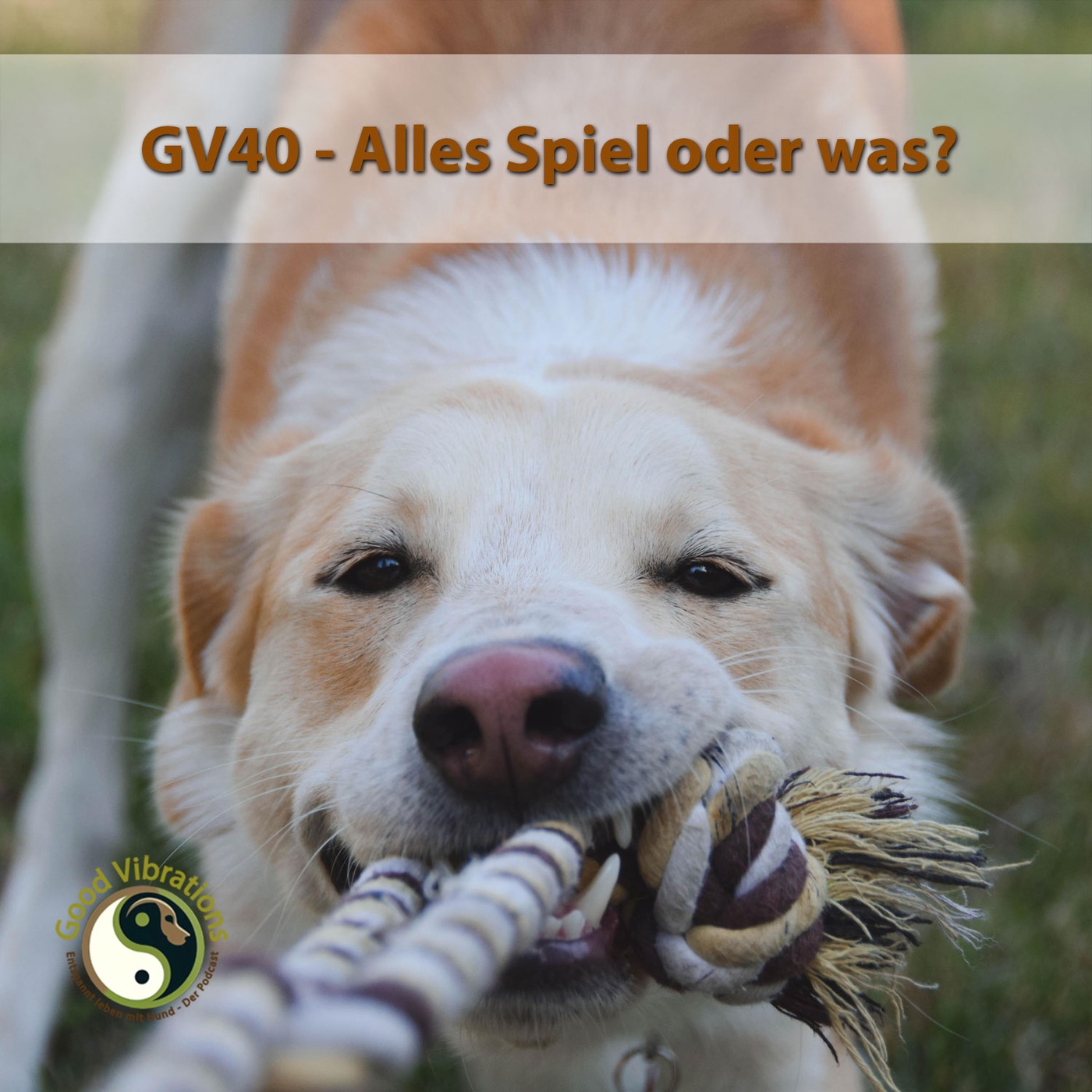 GV 40_Alles Spiel oder was?