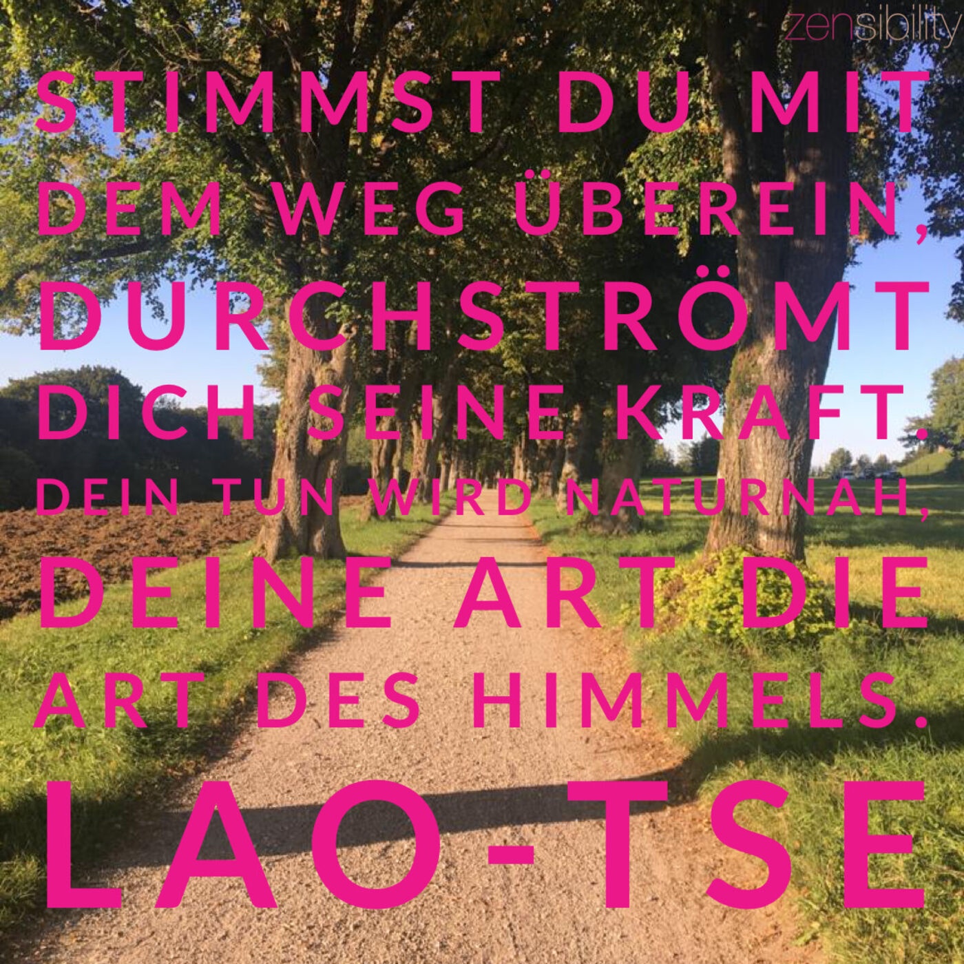 Mein Weg zur inneren Mitte