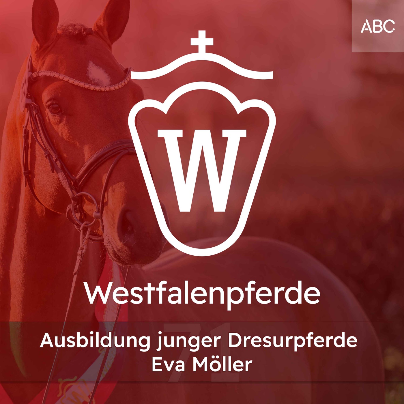 Ausbildung des jungen Dressurpferdes – Zukunft des Jungpferdesports 