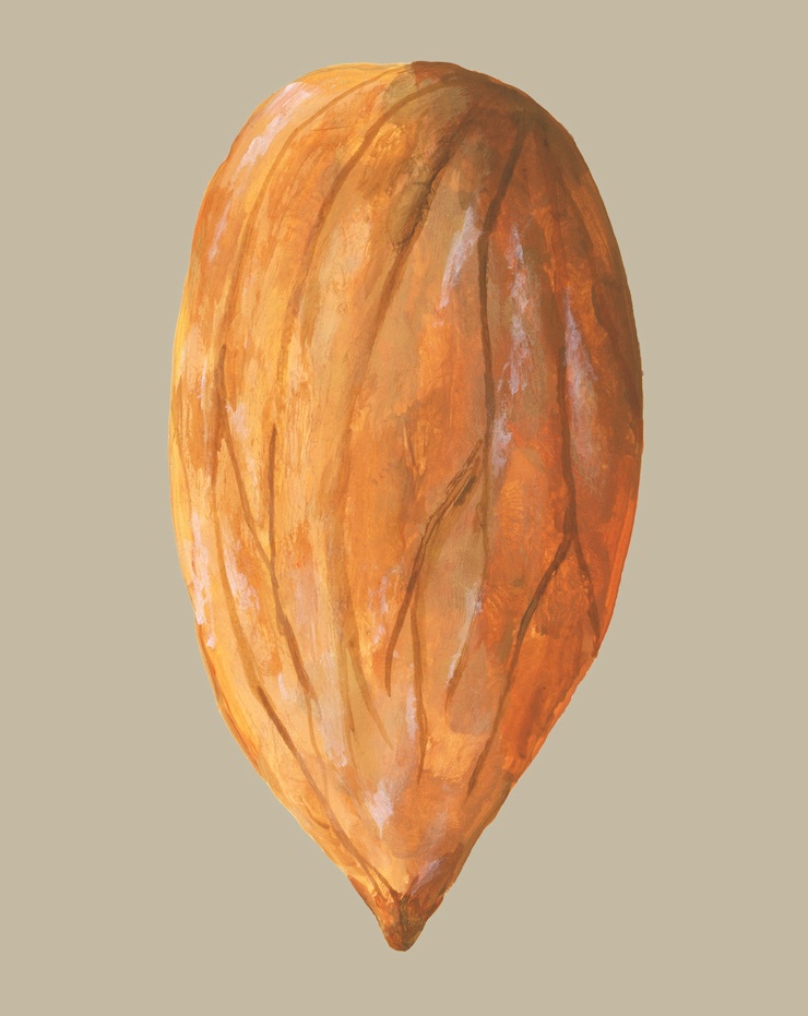 08_Abnehmen - aber wie?