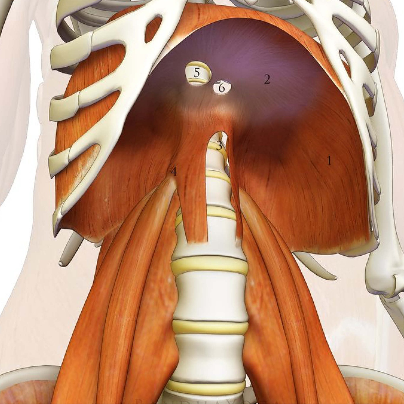 87_Das Bewegungsproblem