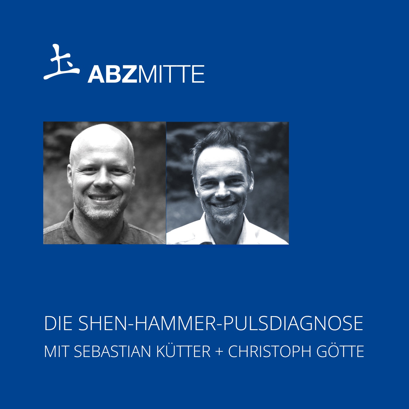 Die Shen-Hammer-Pulsdiagnose