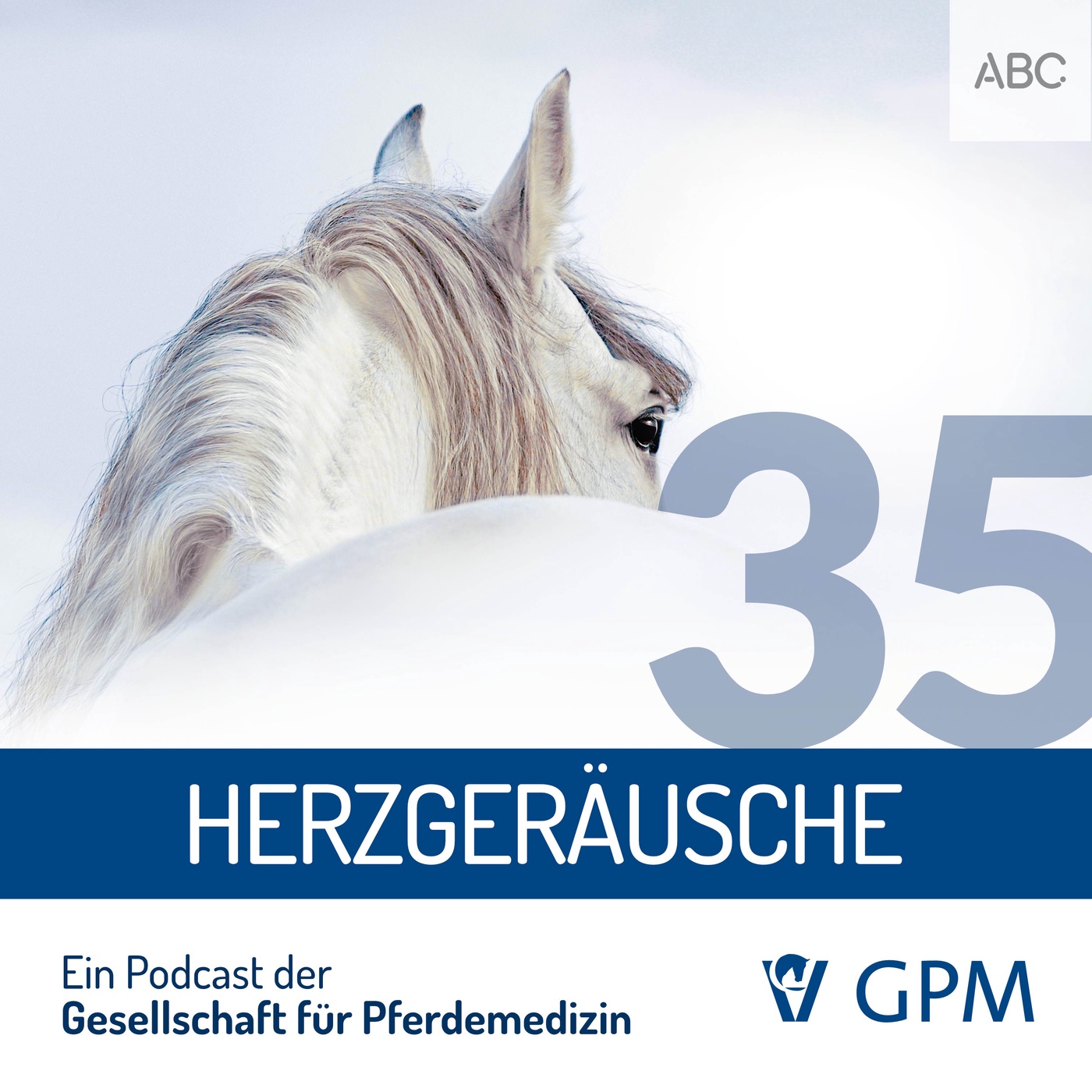 Das Herz - Teil 1: Herzgeräusche beim Pferd