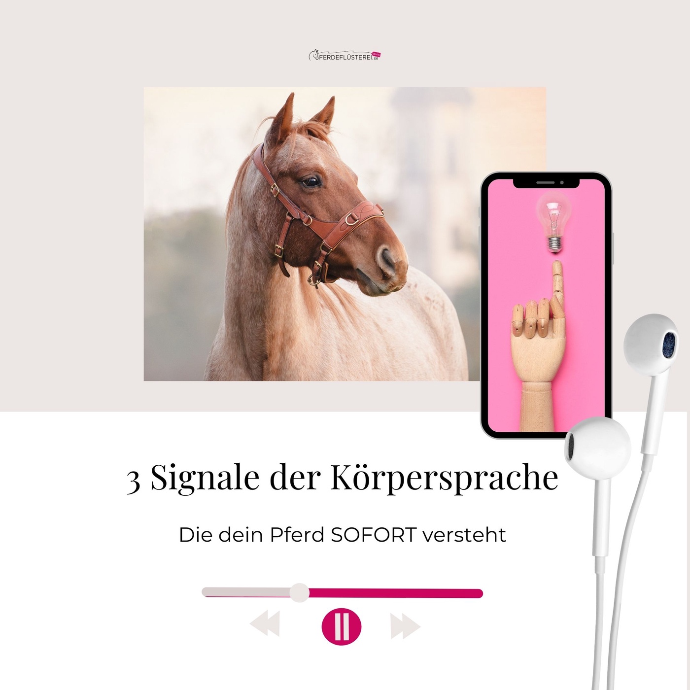 3 Signale der Körpersprache, die dein Pferd SOFORT versteht