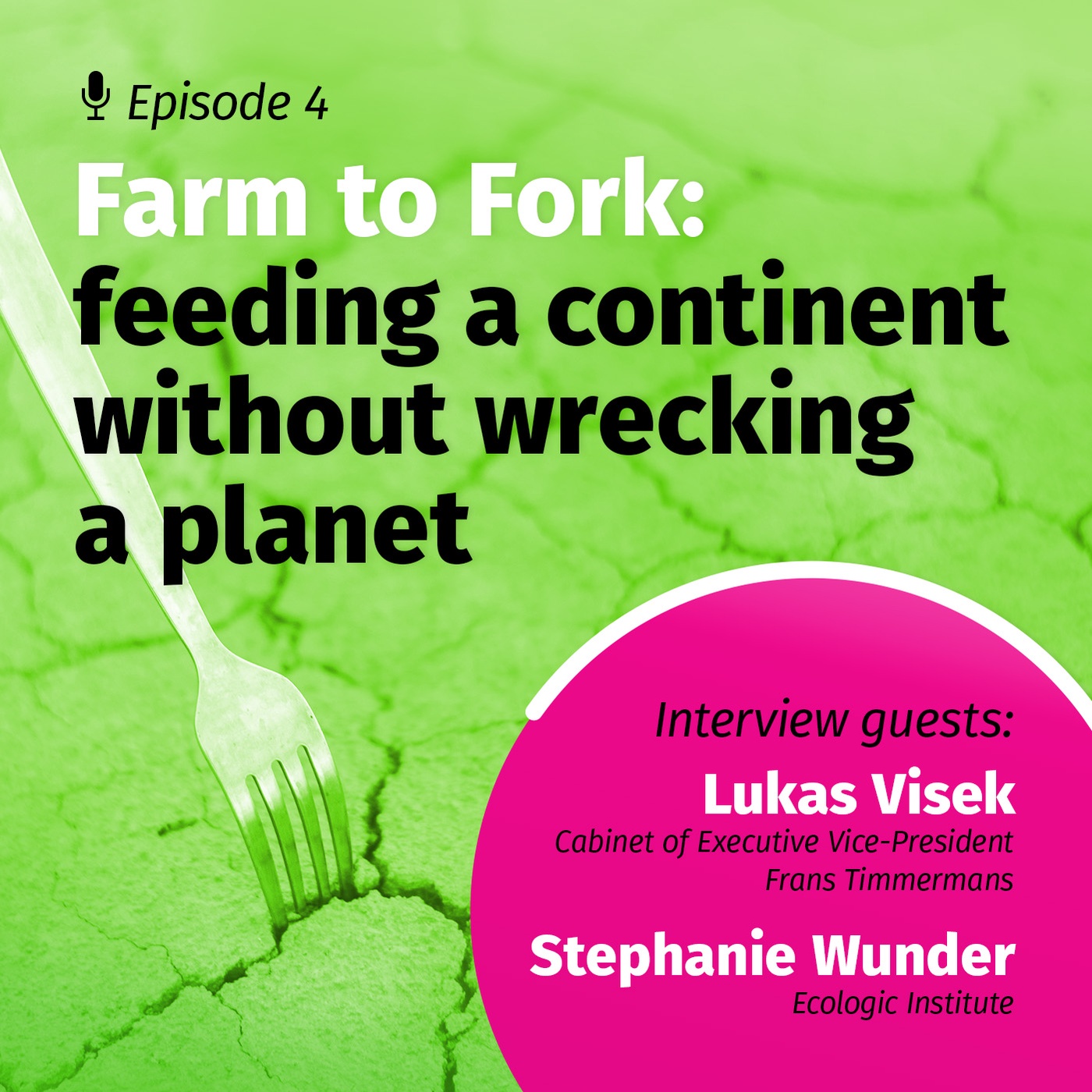 Farm to Fork: feeding a continent without wrecking a planet