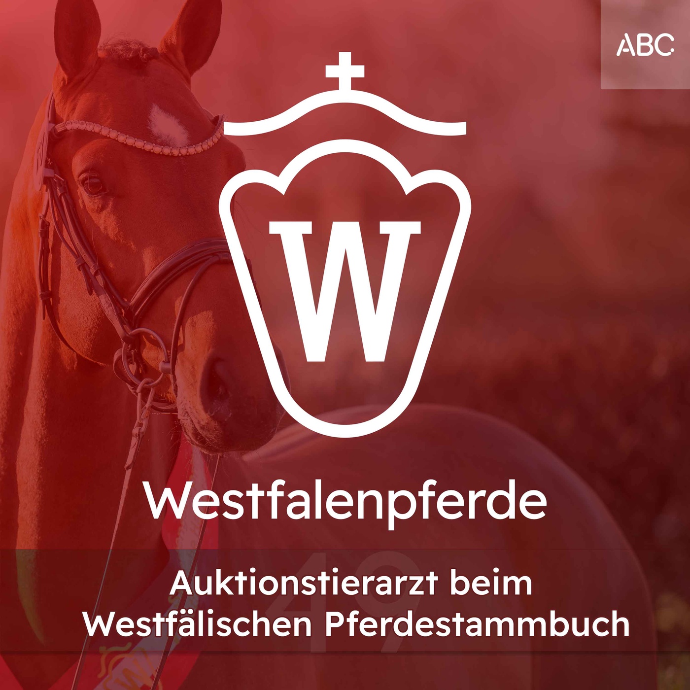 Auktionstierarzt beim Westfälischen Pferdestammbuch