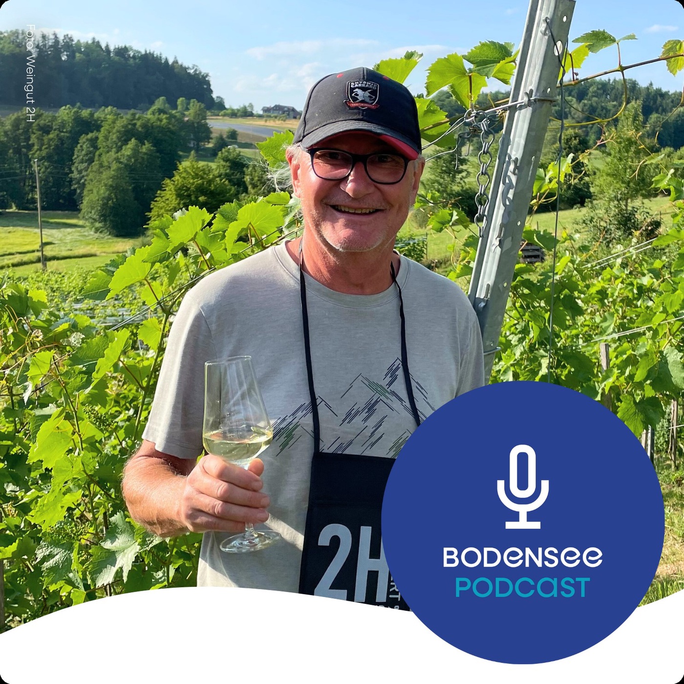 PIWI-Weine am Bodensee: Wie neue Sorten fast ohne Pflanzenschutzmittel auskommen