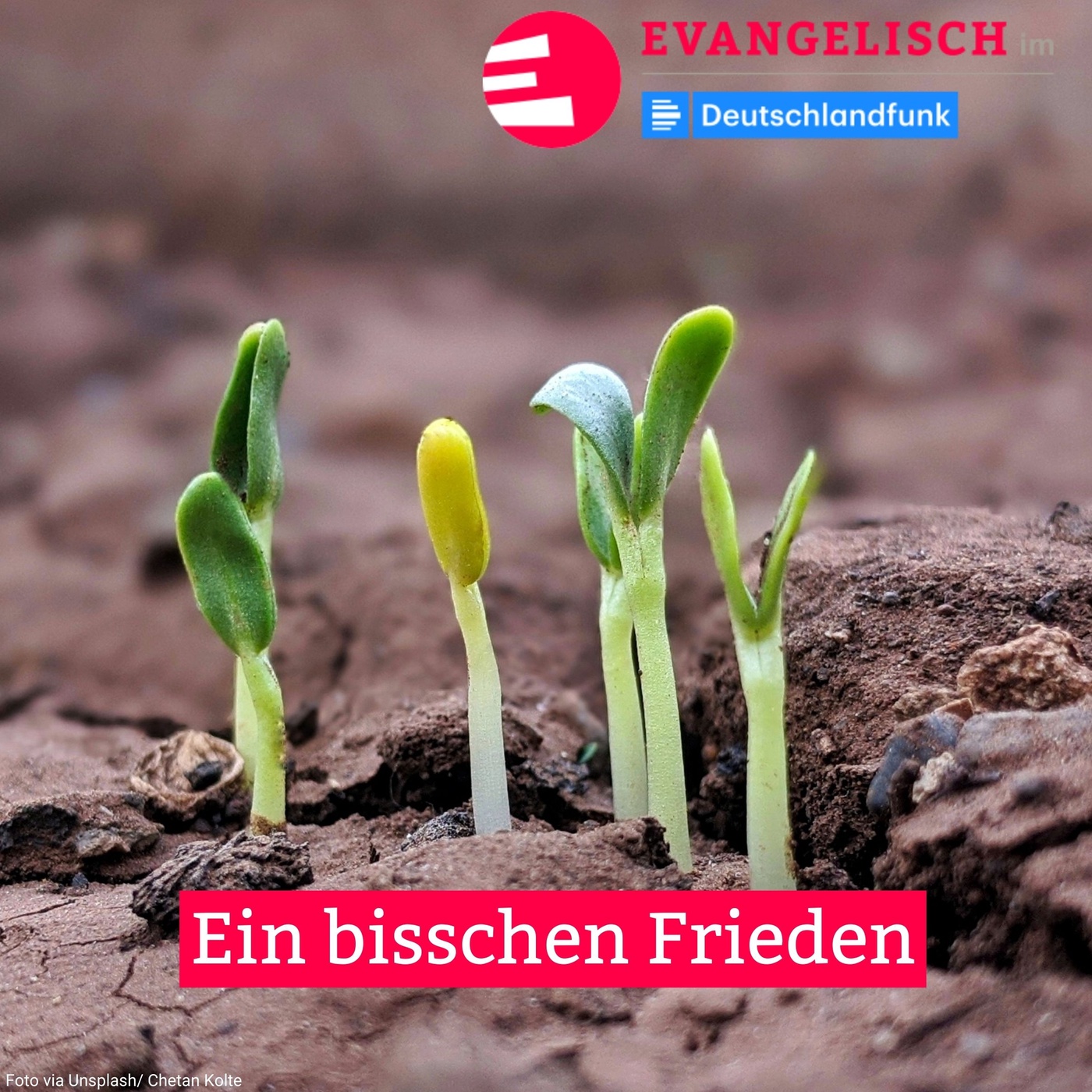 Ein bisschen Frieden
