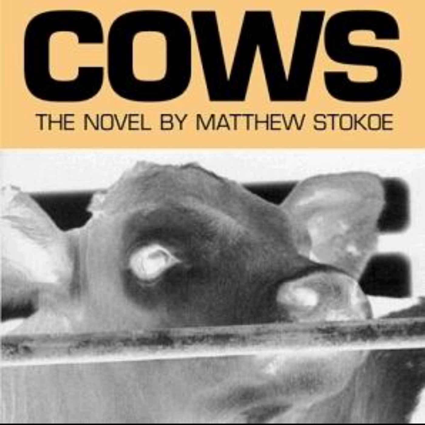 Cows: An Engaging Audio Summary of Matthew Stokoe's Gripping Novel