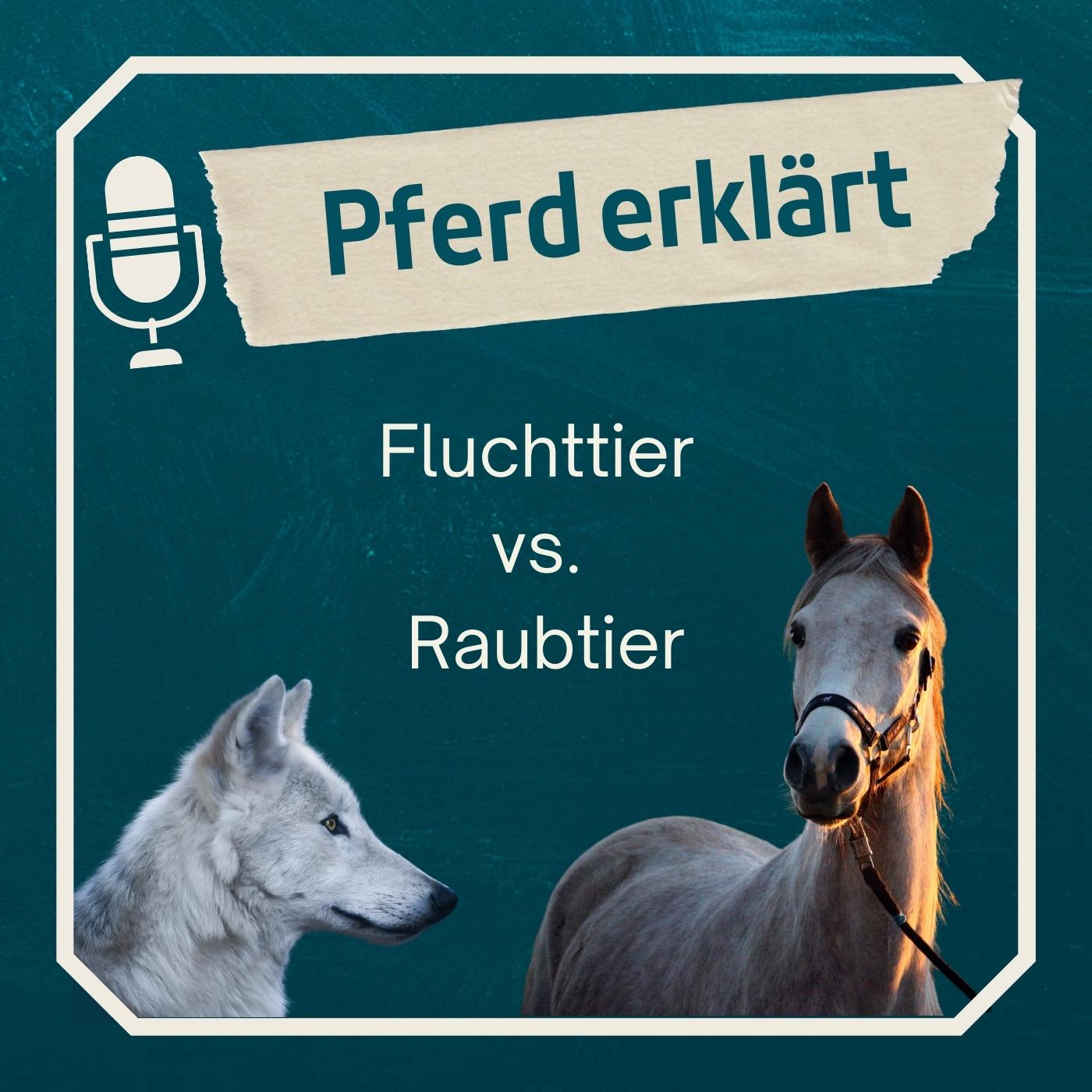 Fluchttier vs. Raubtier