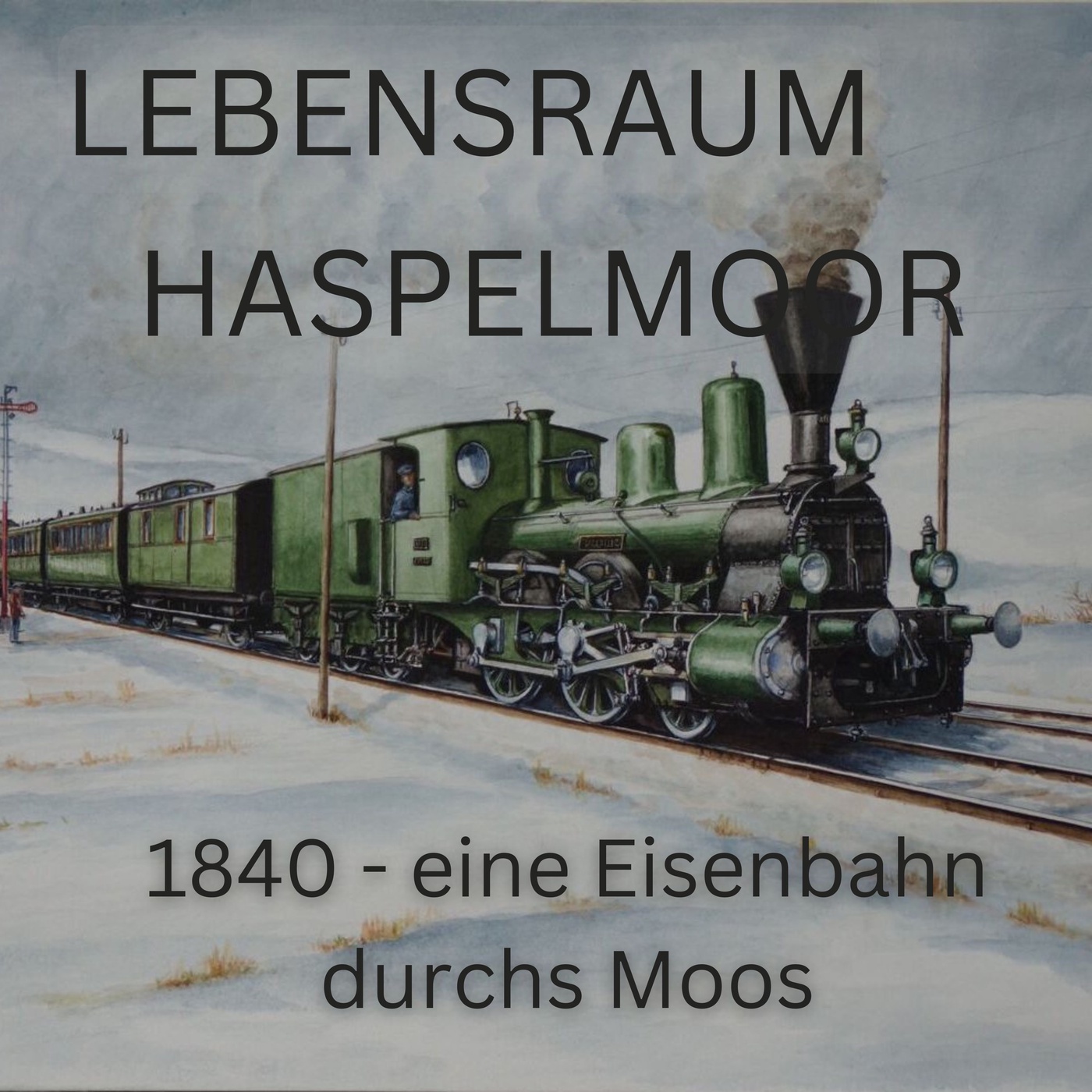 Eine Eisenbahn durchs Moos - der Bau und die erste Zeit