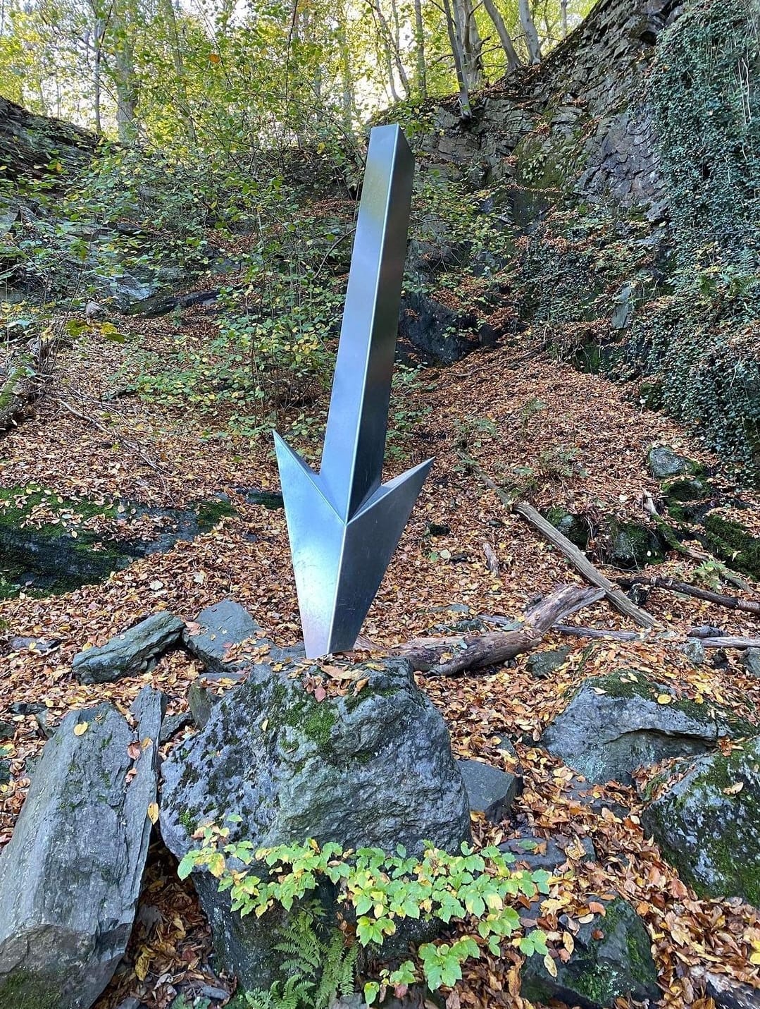 Nicht die Ohren hängen lassen - es wird regiert von Himmel her