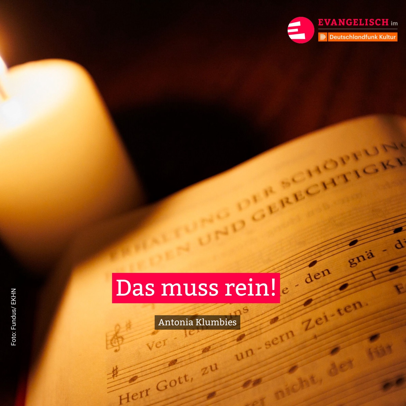 Das muss rein!