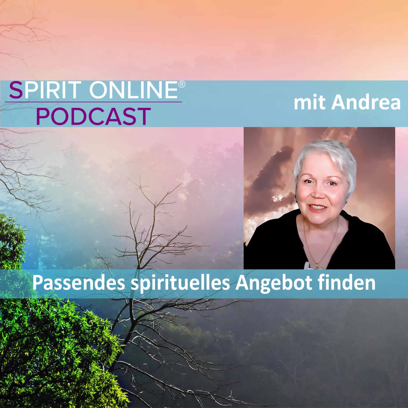 Das für dich passende spirituelle Angebot finden mit Andrea