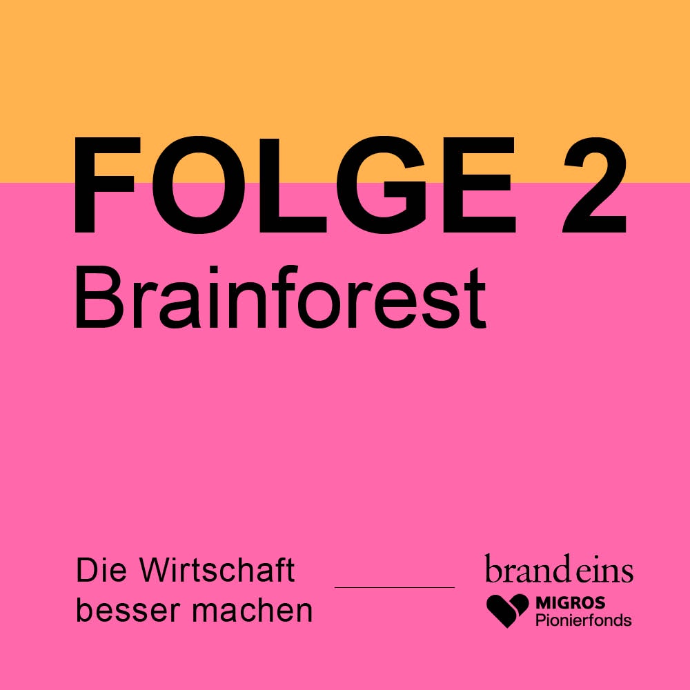 Brainforest: Geschäftsmodelle gegen die Abholzung des Waldes