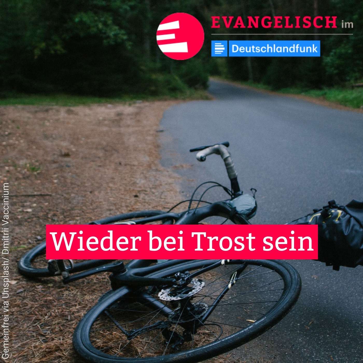 Wieder bei Trost sein