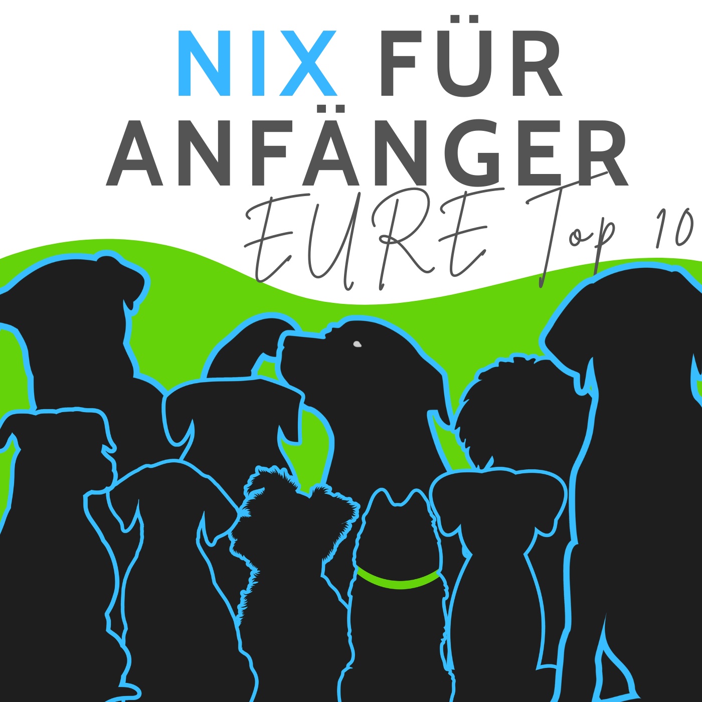 EURE Top 10: HUNDE die du NIEMALS als Anfänger haben solltest