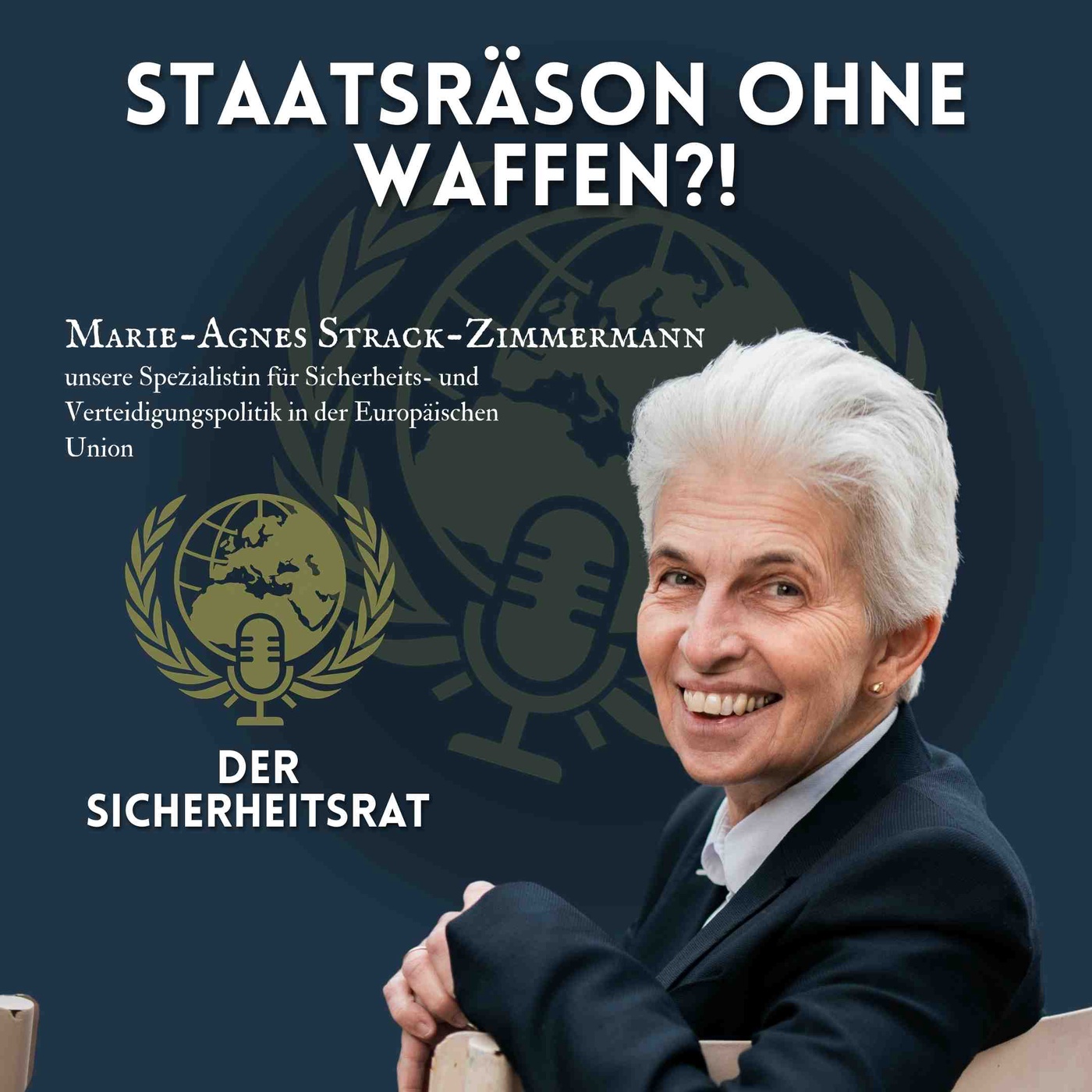 Sitzung 7 - Staatsräson ohne Waffen?!