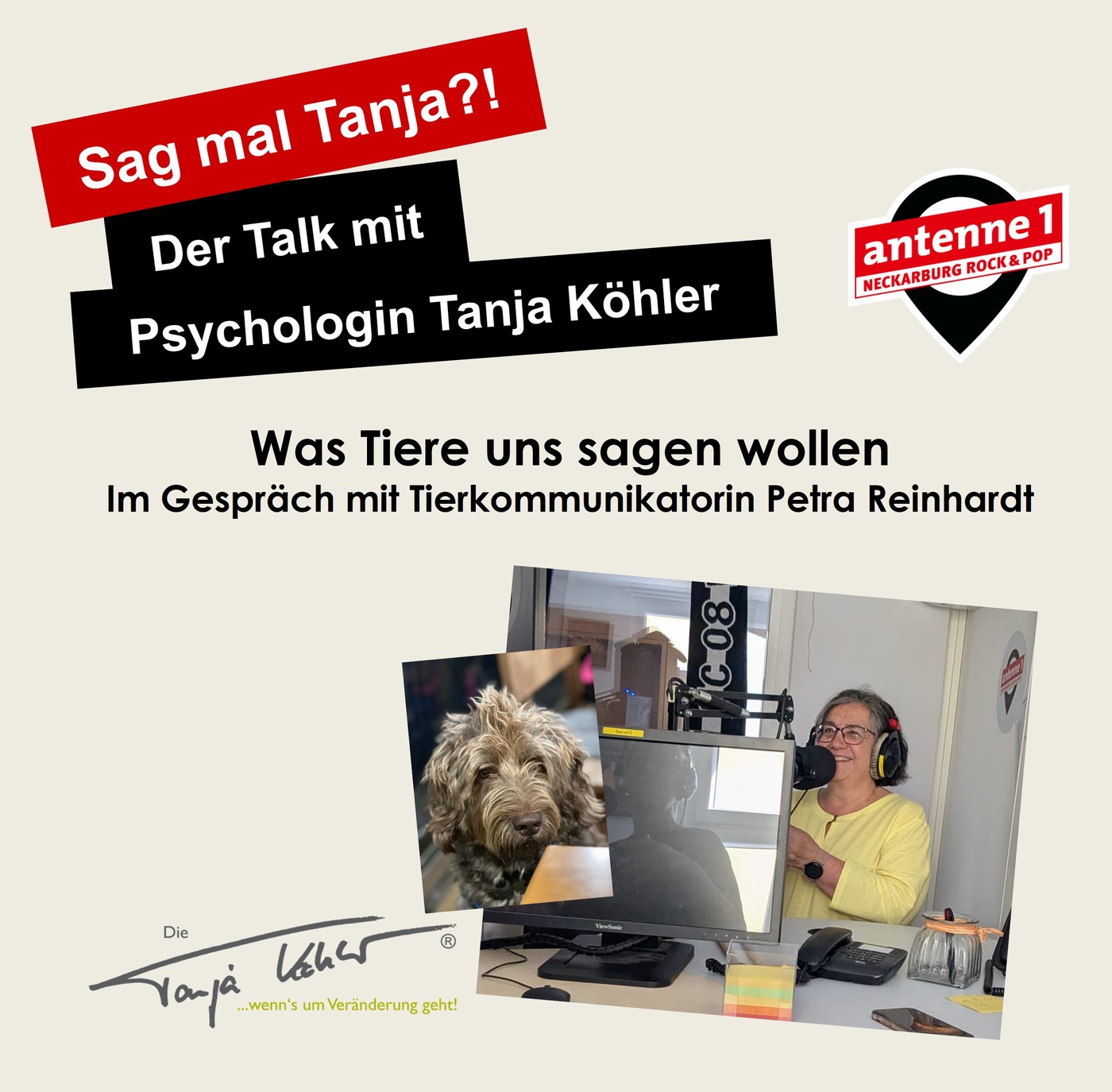 #186 Was Tiere uns sagen wollen