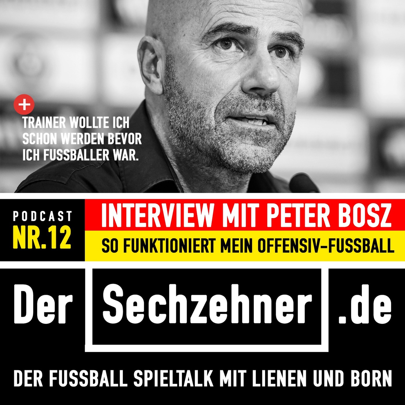 Der Sechzehner #12 Gespräch mit Peter Bosz