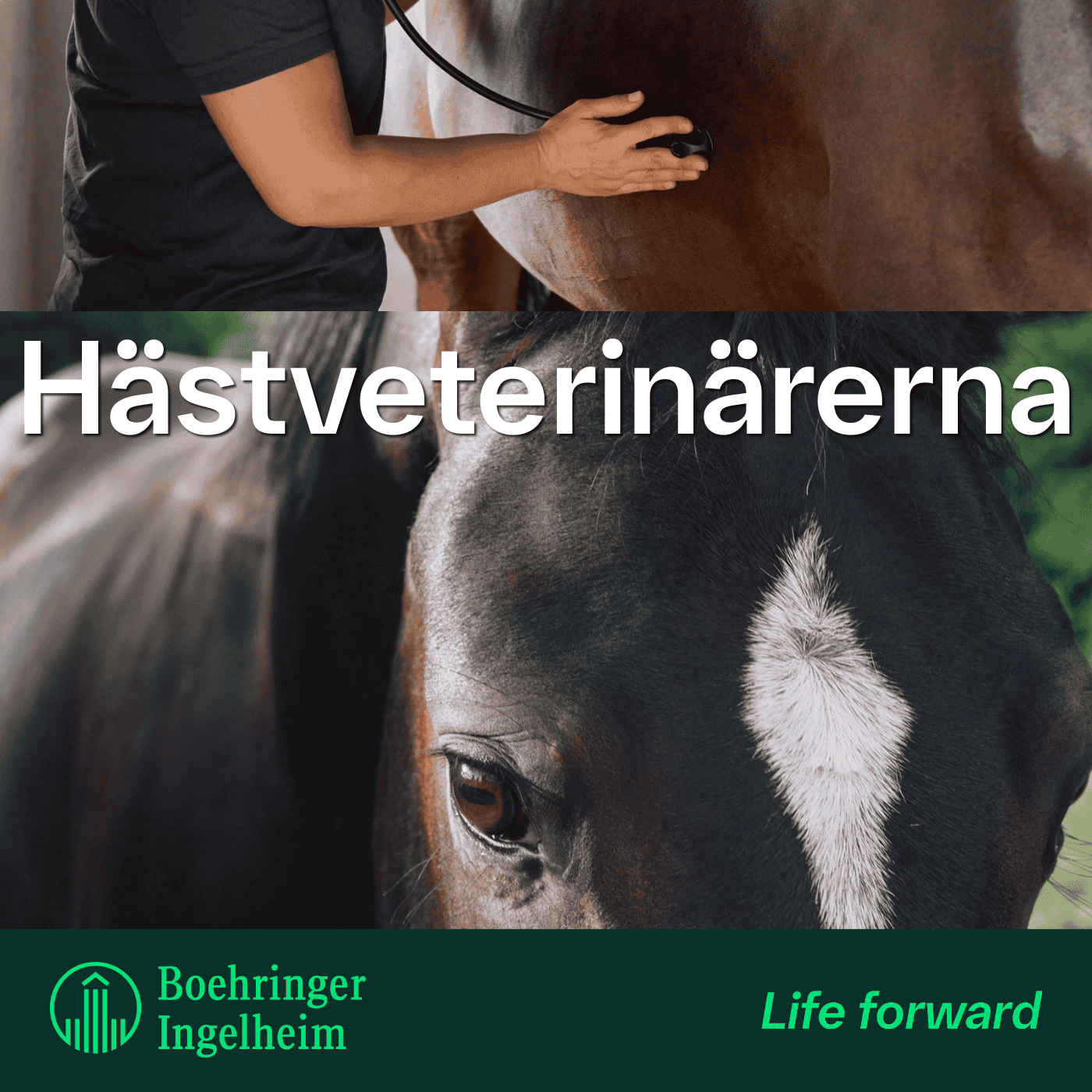 Infektionssjukdomar, avsnitt 2 – Stelkramp