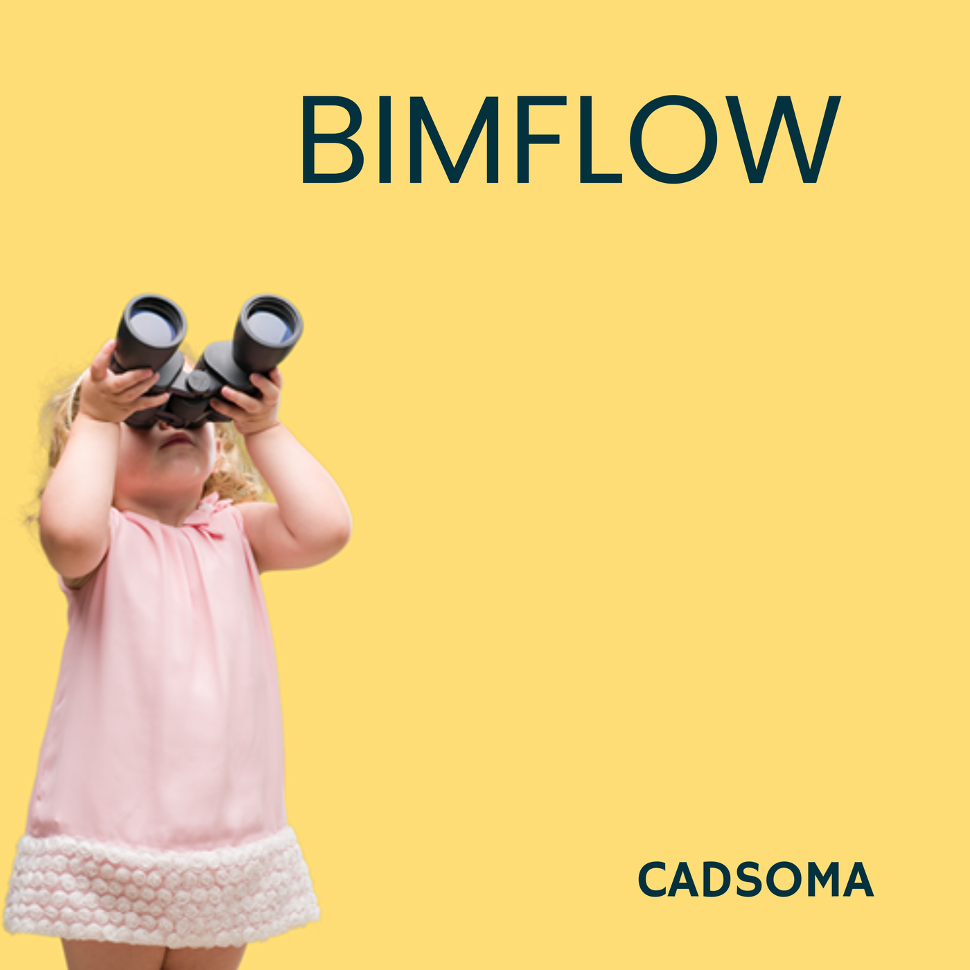 BIMflow