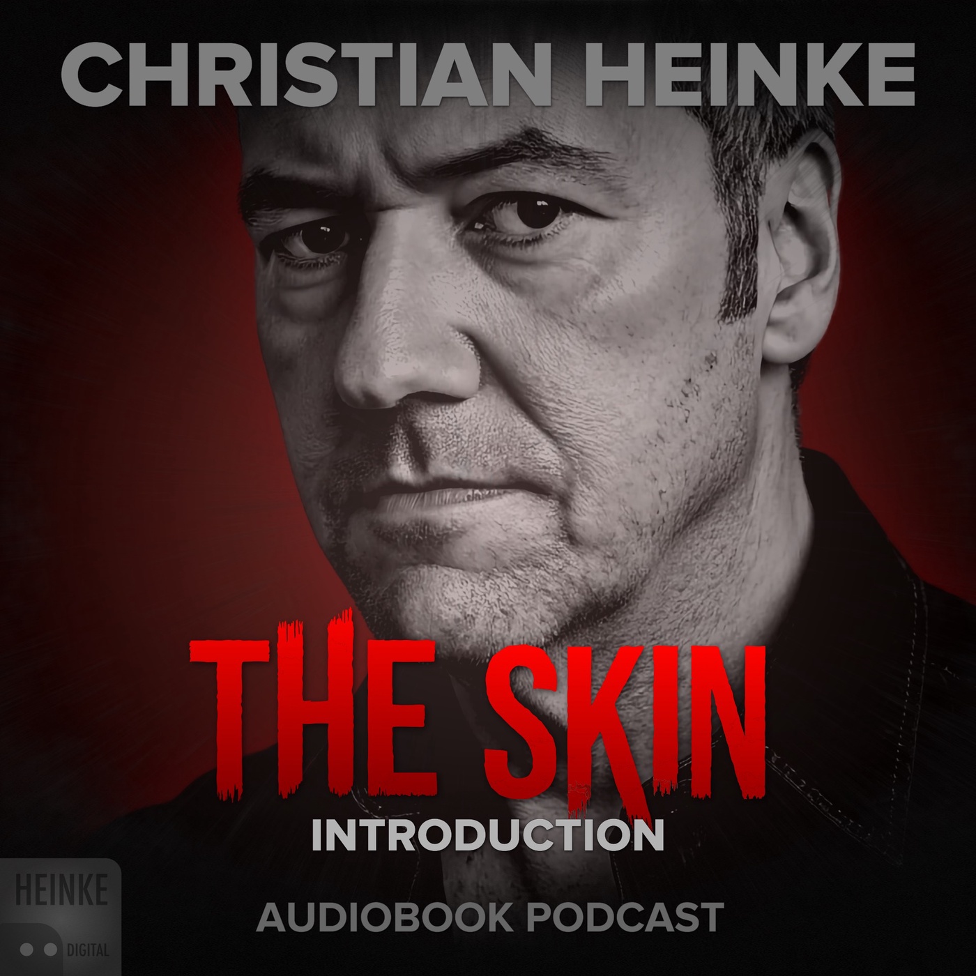 The Skin - Introduction