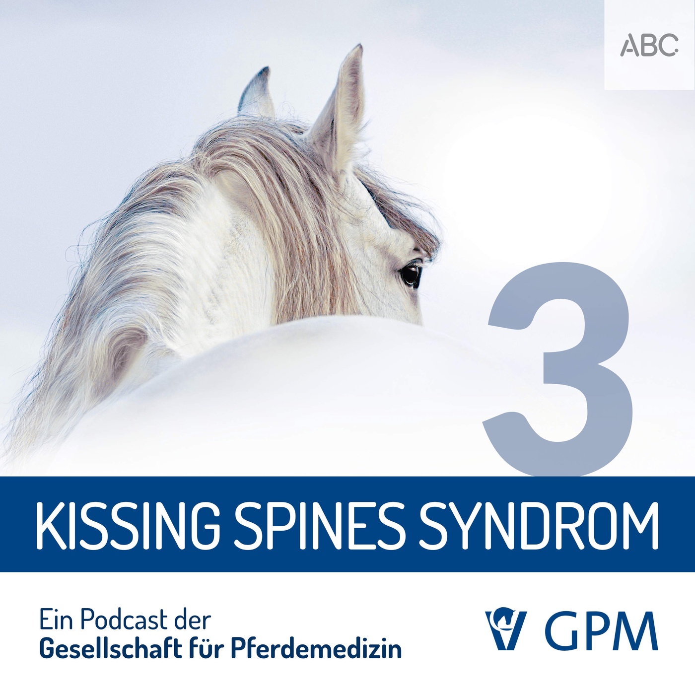 Kissing Spines Syndrom