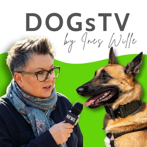 DOGsTV Hundewelt: Hunde ehrlich erklärt