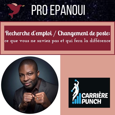 Changement De Poste Recherche D Emploi Ce Que Vous Ne Saviez Pas Et Qui Fera La Difference Pro Epanoui Podcast